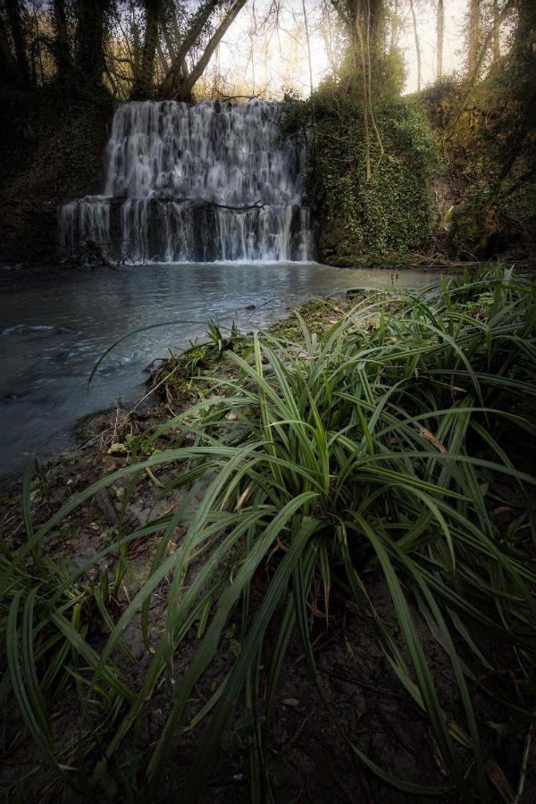 Il Molinaccio Al Rio Chiaro Villa Civitella dʼAgliano Kültér fotó