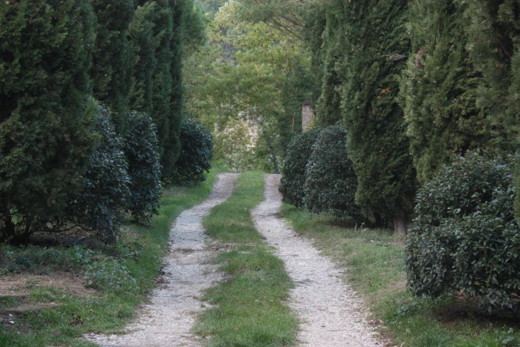 Il Molinaccio Al Rio Chiaro Villa Civitella dʼAgliano Kültér fotó