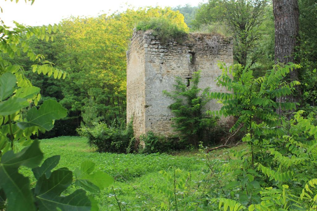 Il Molinaccio Al Rio Chiaro Villa Civitella dʼAgliano Kültér fotó