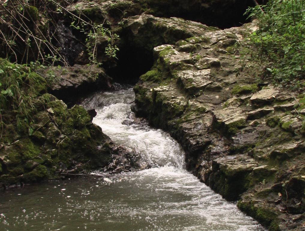 Il Molinaccio Al Rio Chiaro Villa Civitella dʼAgliano Kültér fotó