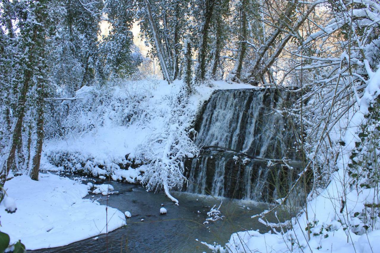 Il Molinaccio Al Rio Chiaro Villa Civitella dʼAgliano Kültér fotó